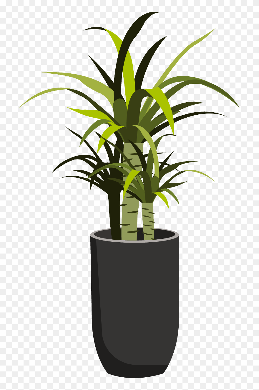 Jpeg Clipart