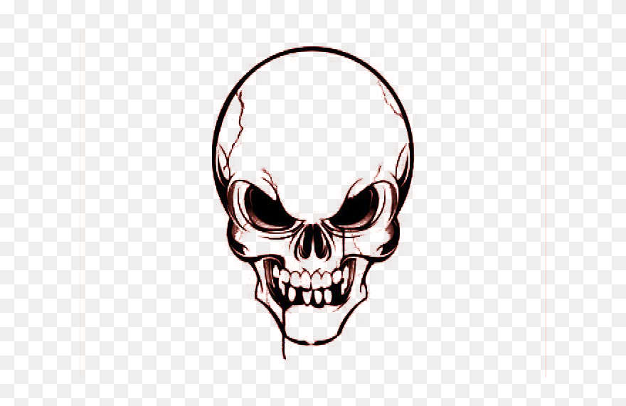 Skull Euclidean Vector Clip Art - Transparent Background Skull Png