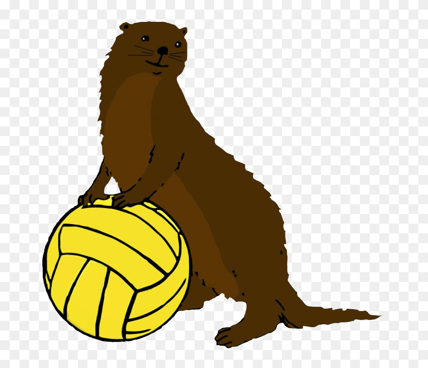 Logo - Water Polo Ball Clipart