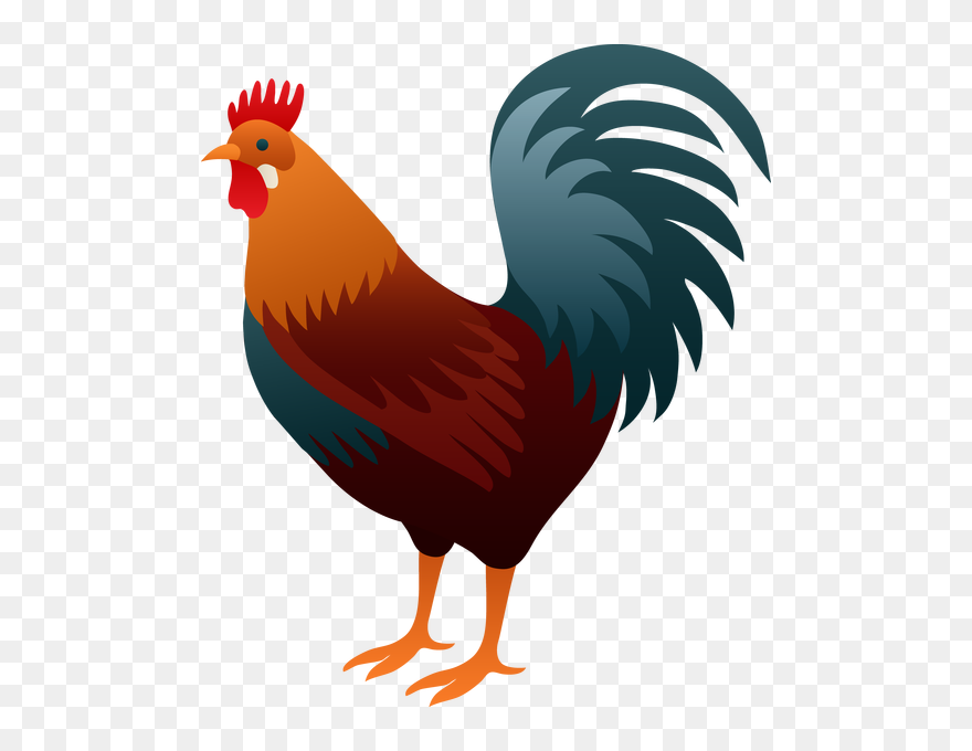 Rooster Clipart - Png Download