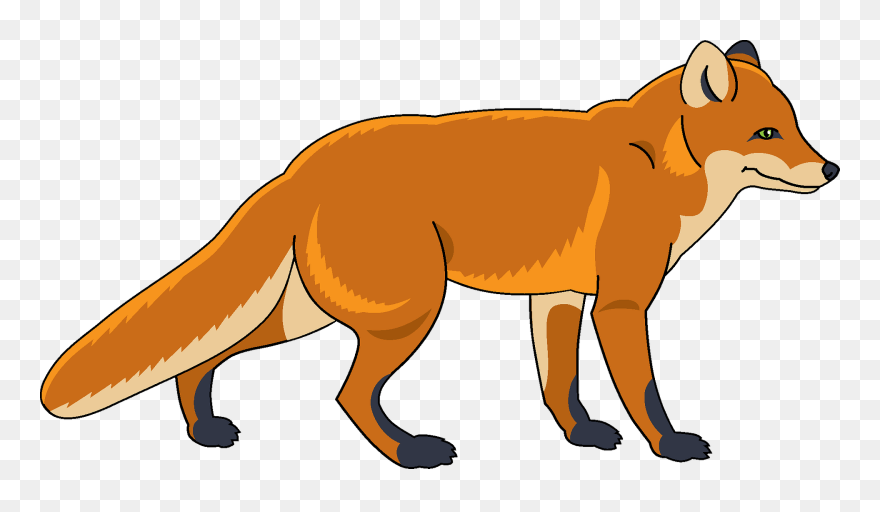 Finnish Spitz Clipart