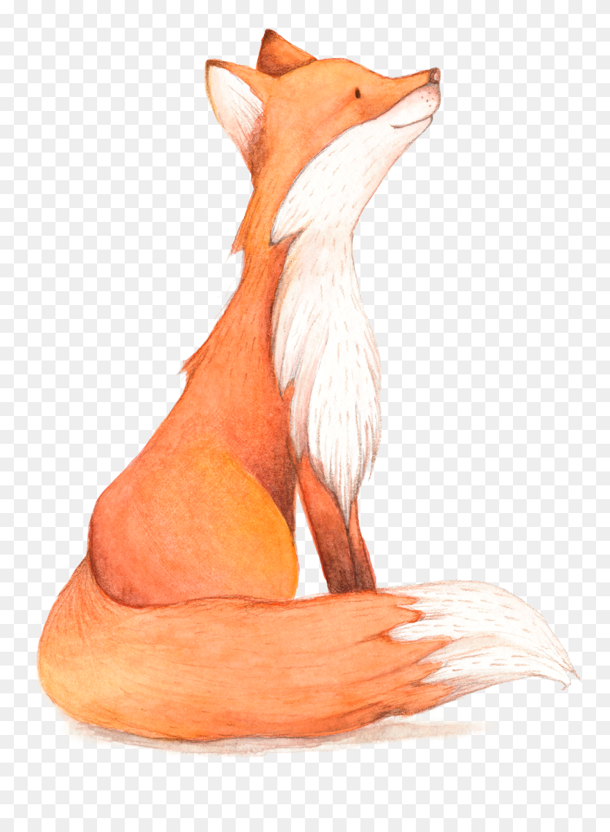 Birthday Fox Cartoon Illustration Hq Image Free Png - Fox Watercolor Clipart