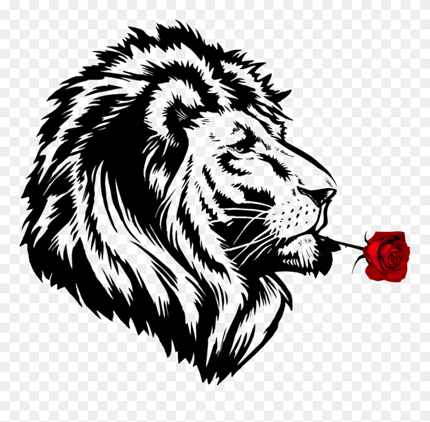 Lion"s Roar Cheetah Lion"s Roar Drawing - Lion Roaring Drawing Black And White Clipart