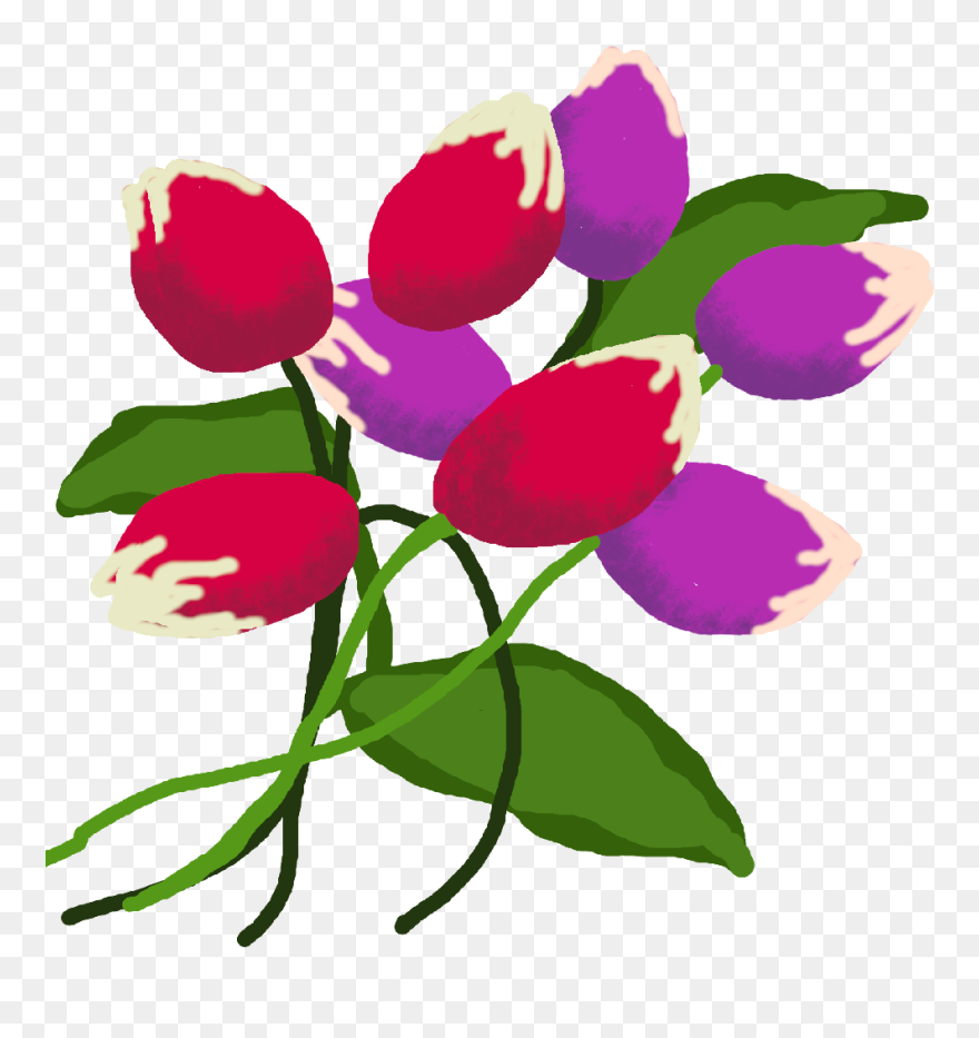 Tulip Clipart