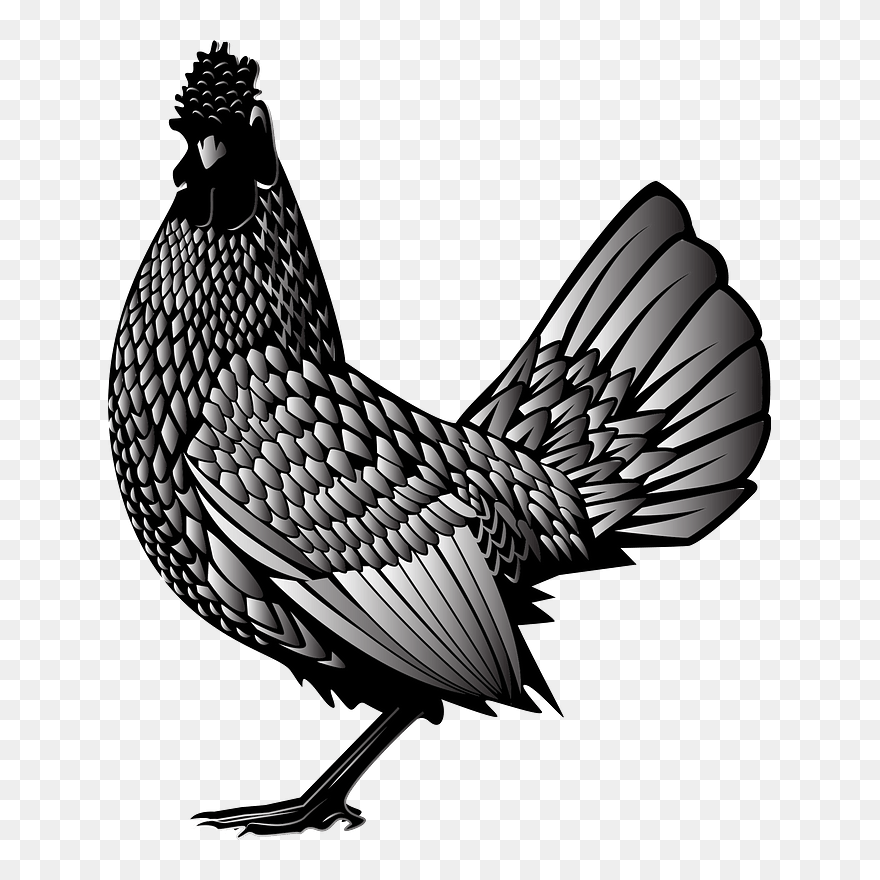 Chicken Clipart - Transparent Rooster Svg - Png Download