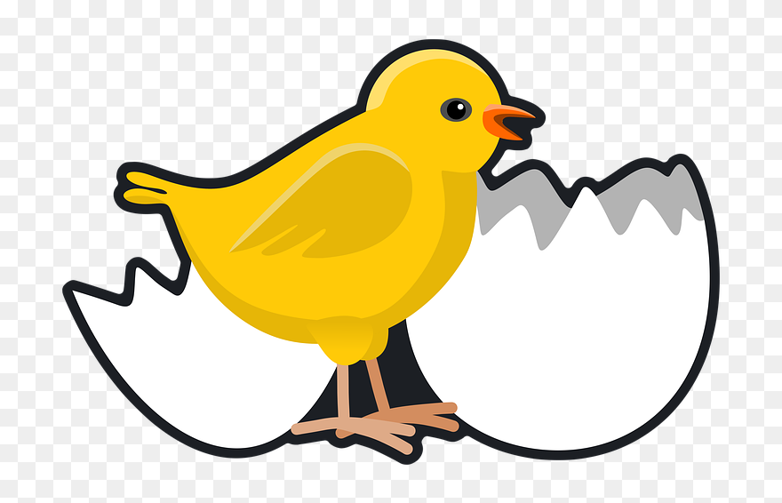 Clip Art - Png Download