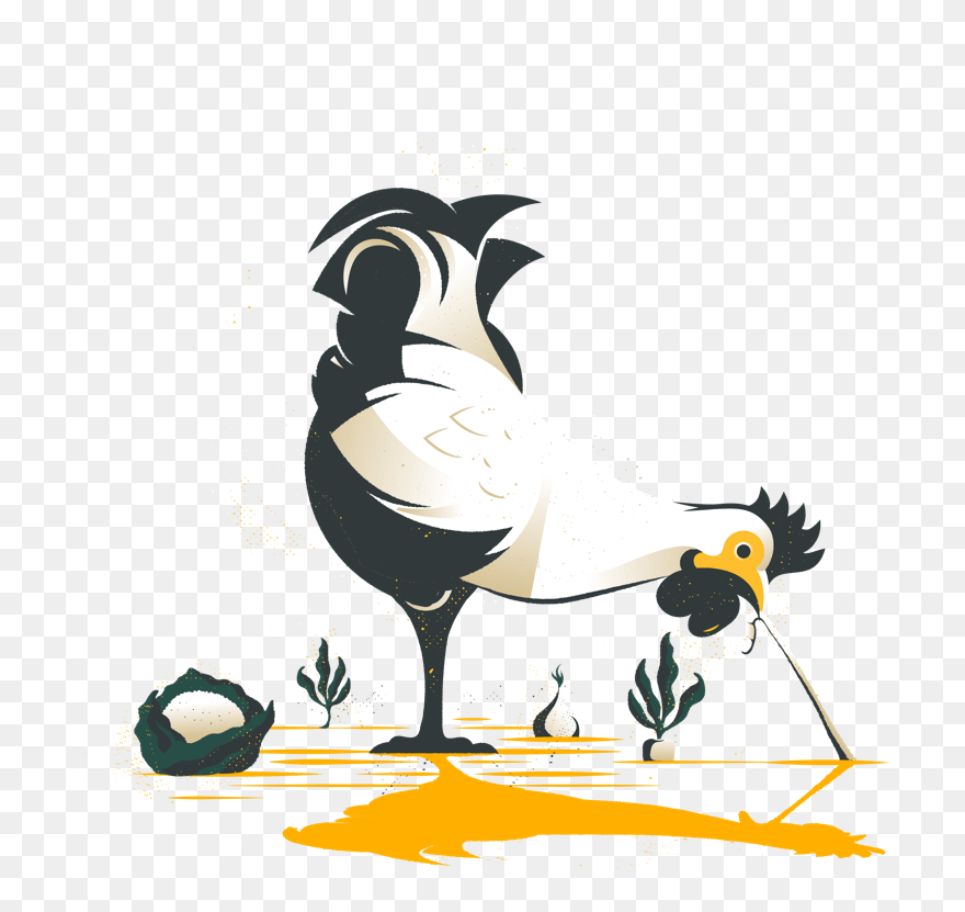 Illustration Clipart