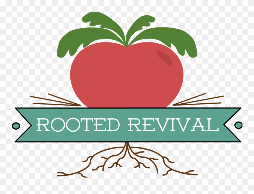 Rooted Revival Aka - Mcintosh Clipart