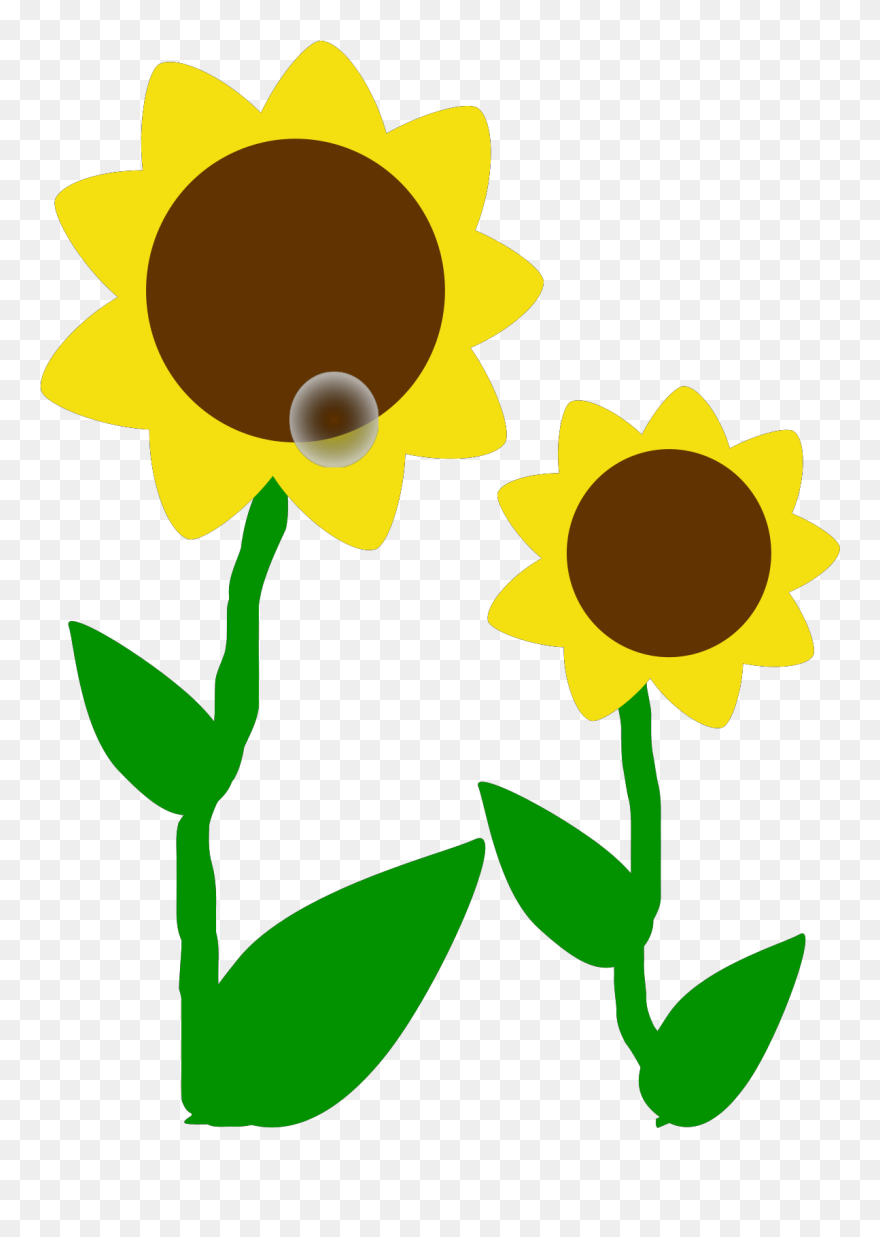 Clip Art Flowers - Png Download