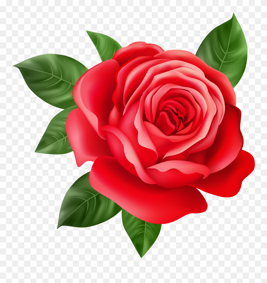 Rose Bud Clipart - Png Download