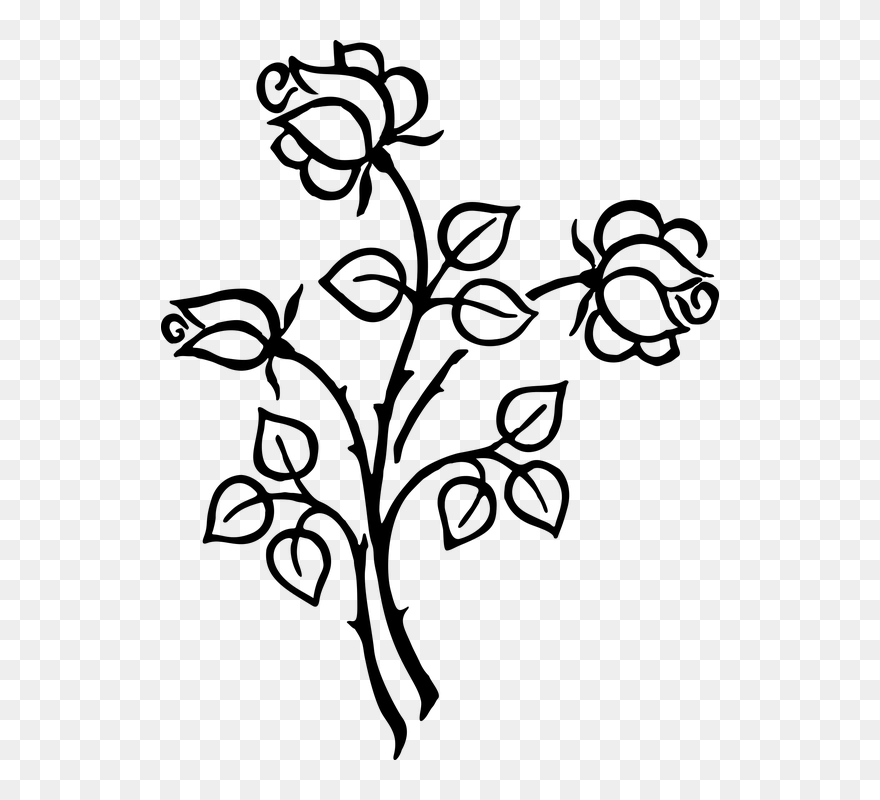Line Art Flower - Flower Clipart Transparent Black And White - Png Download