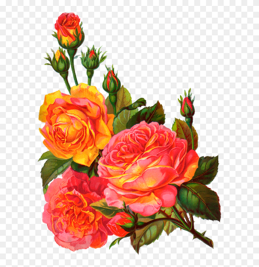 Vintage Roses Garden Clipart - Png Download