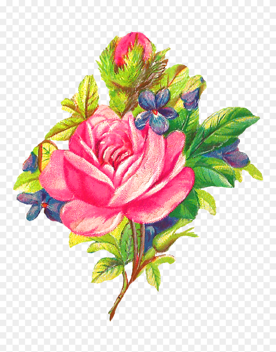 Antique Flower Clipart Jpg Rose Flower Clipart At Getdrawings - Clip Art - Png Download
