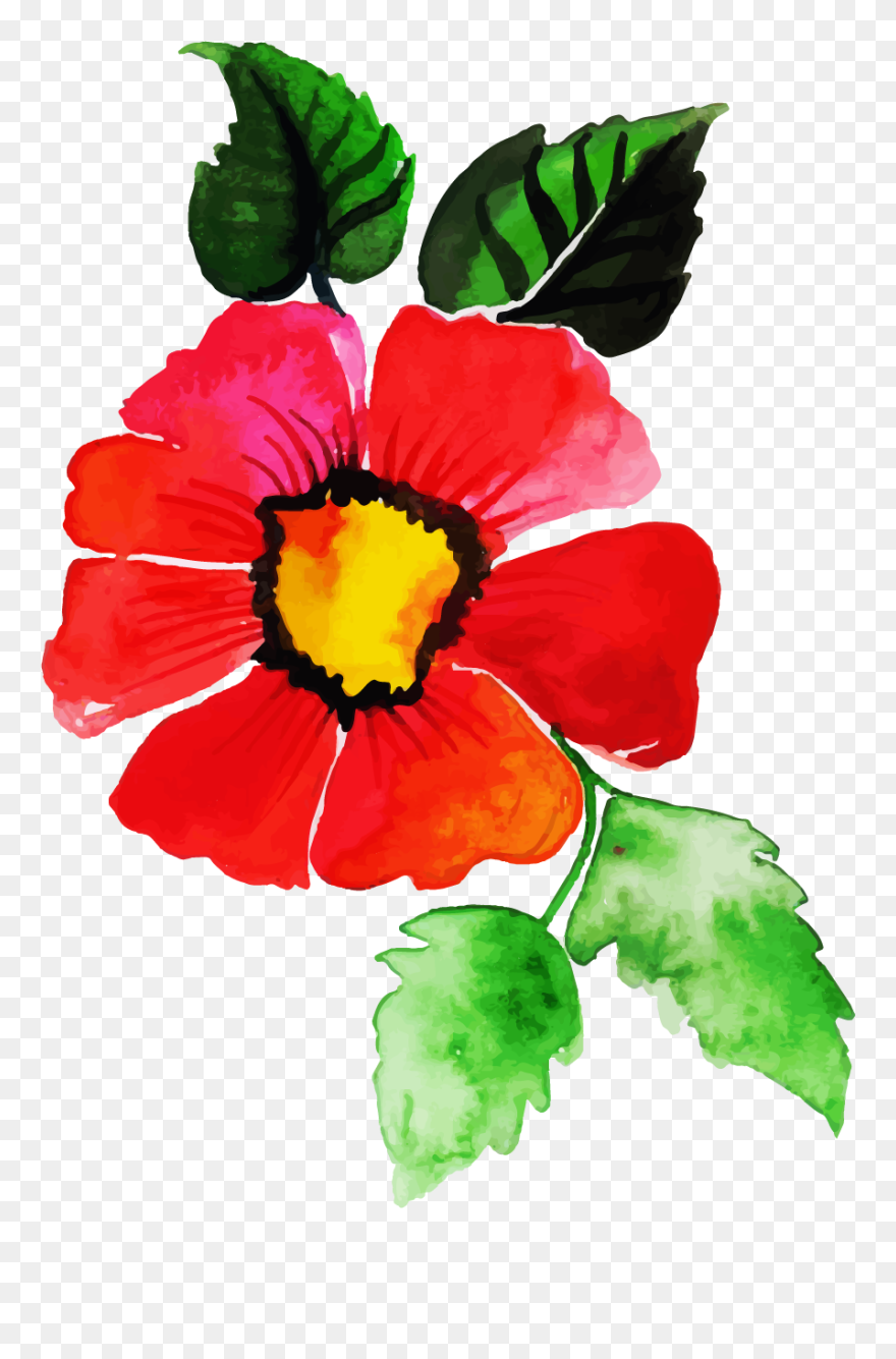 Rosa Rubiginosa Clipart