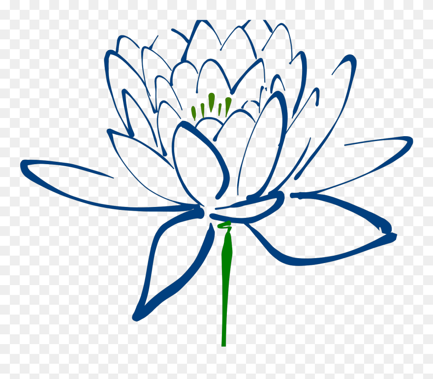 Lotus Flower Png Draw Clipart