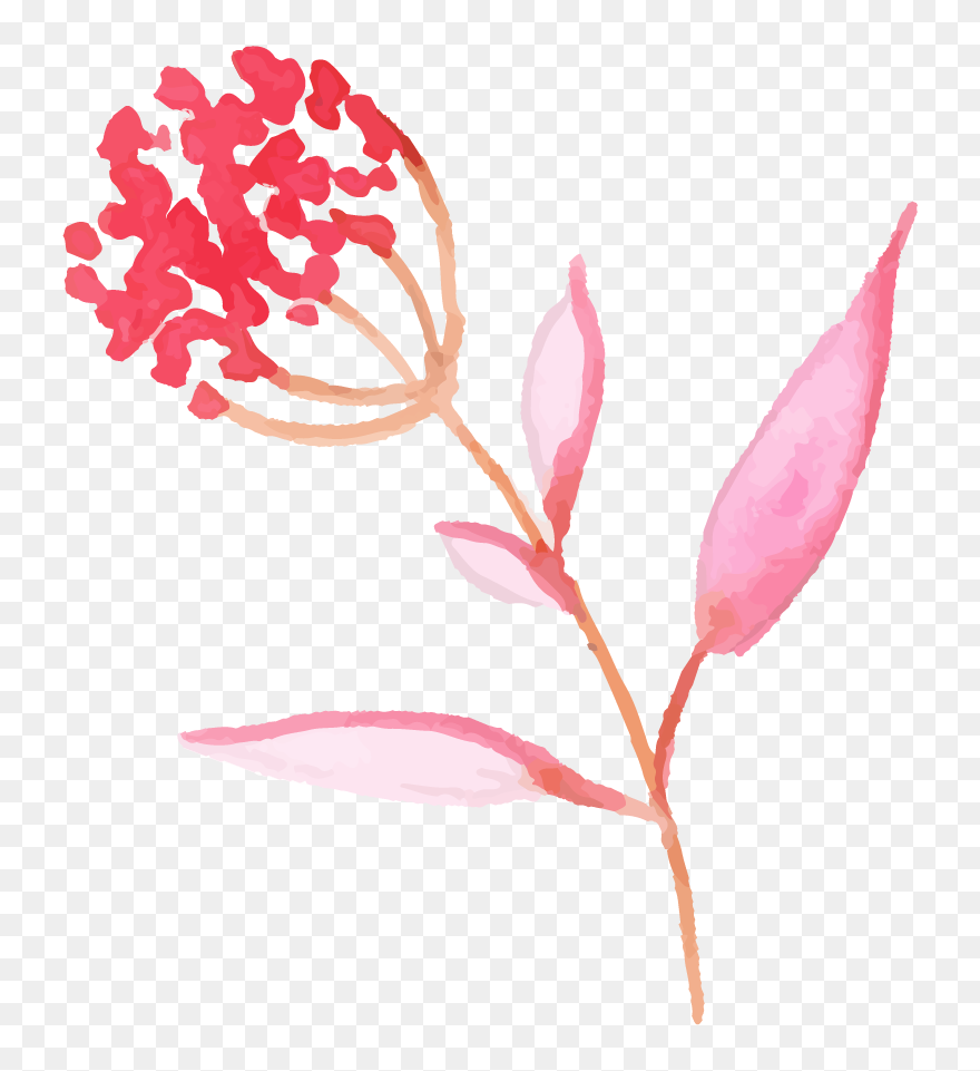 Illustration Clipart