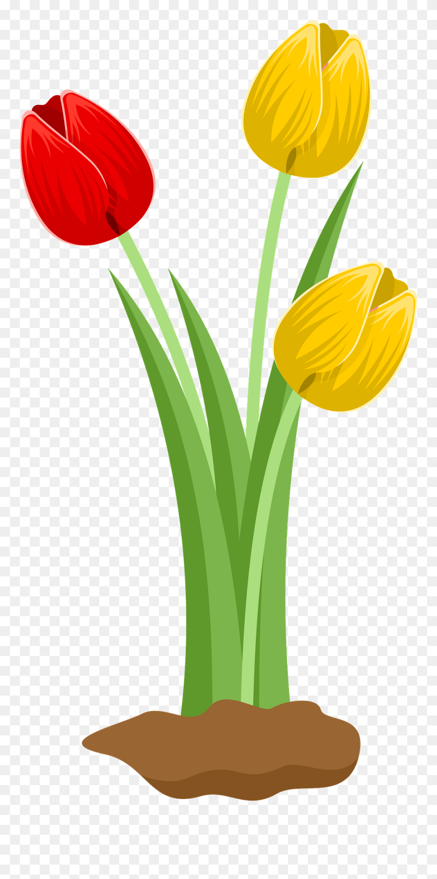 Flower Tulip Clipart - Png Download