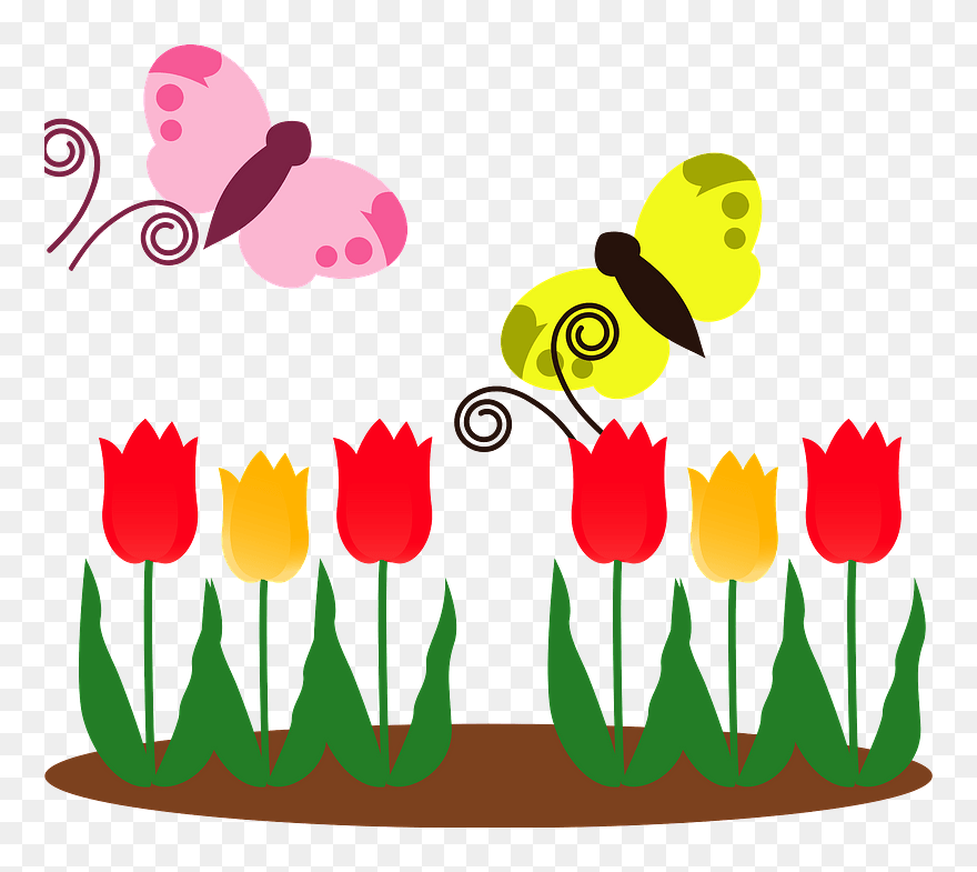 Butterfly Tulip Clipart - Png Download