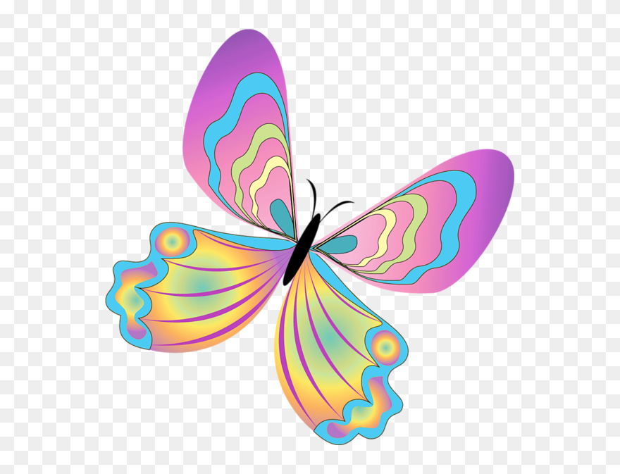 Transparent Butterflies Png Transparent - Butterfly Png Clip Art
