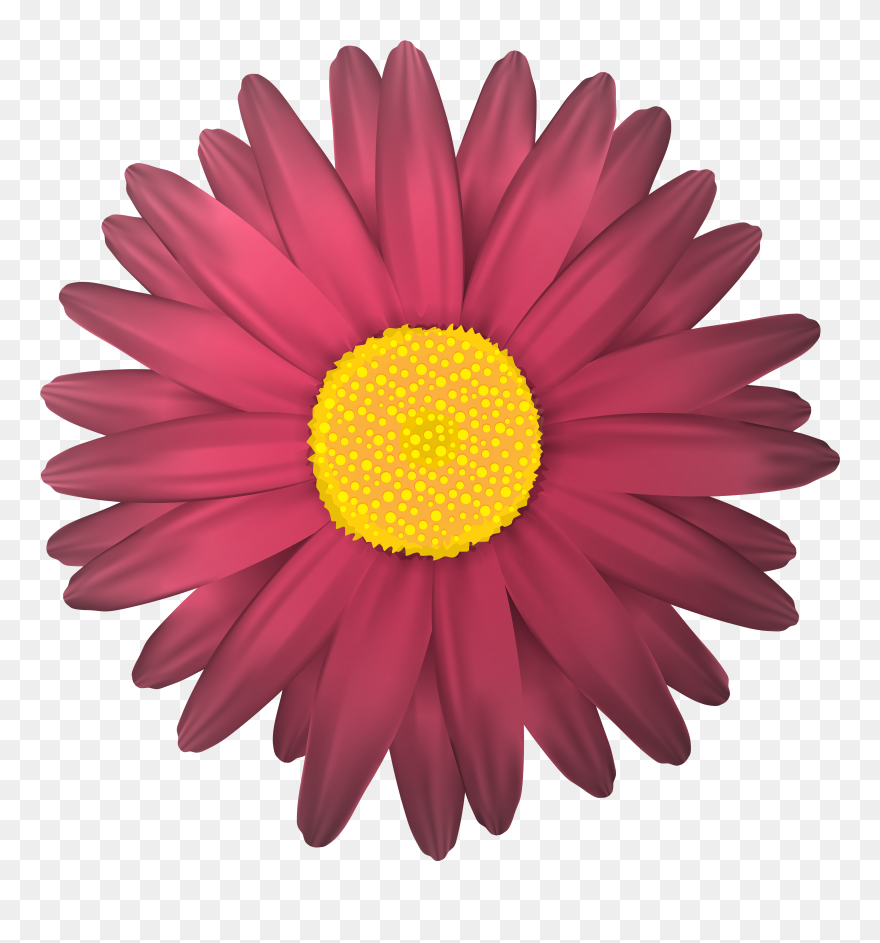 Flower Clip Art - Png Download