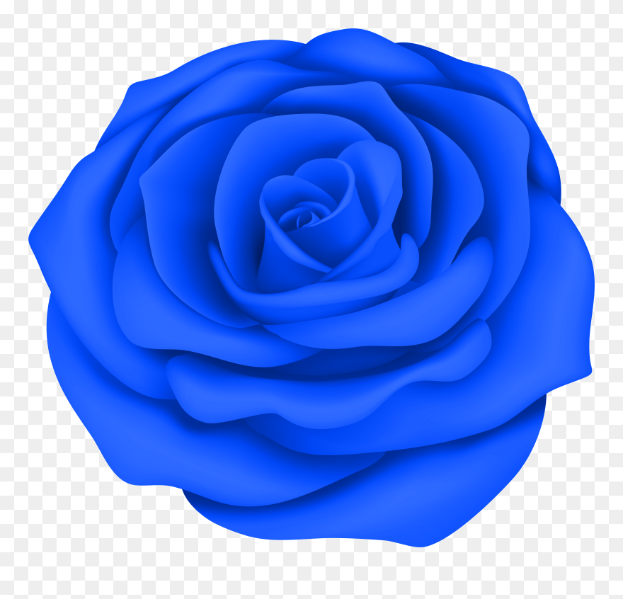 Blue Rose Flower Transparent Clip Art Image - Png Download