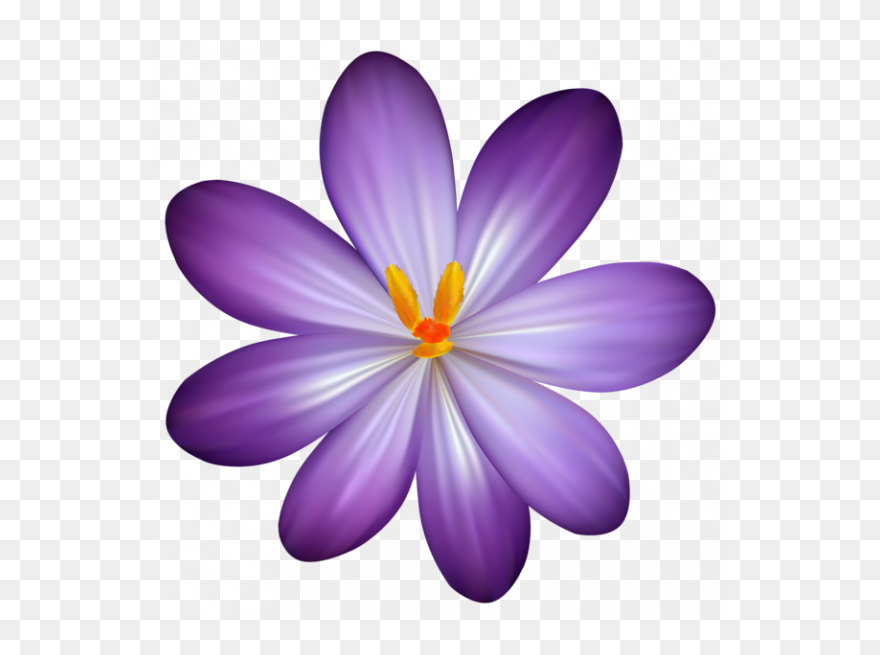 Purple Flower Clipart - Png Download