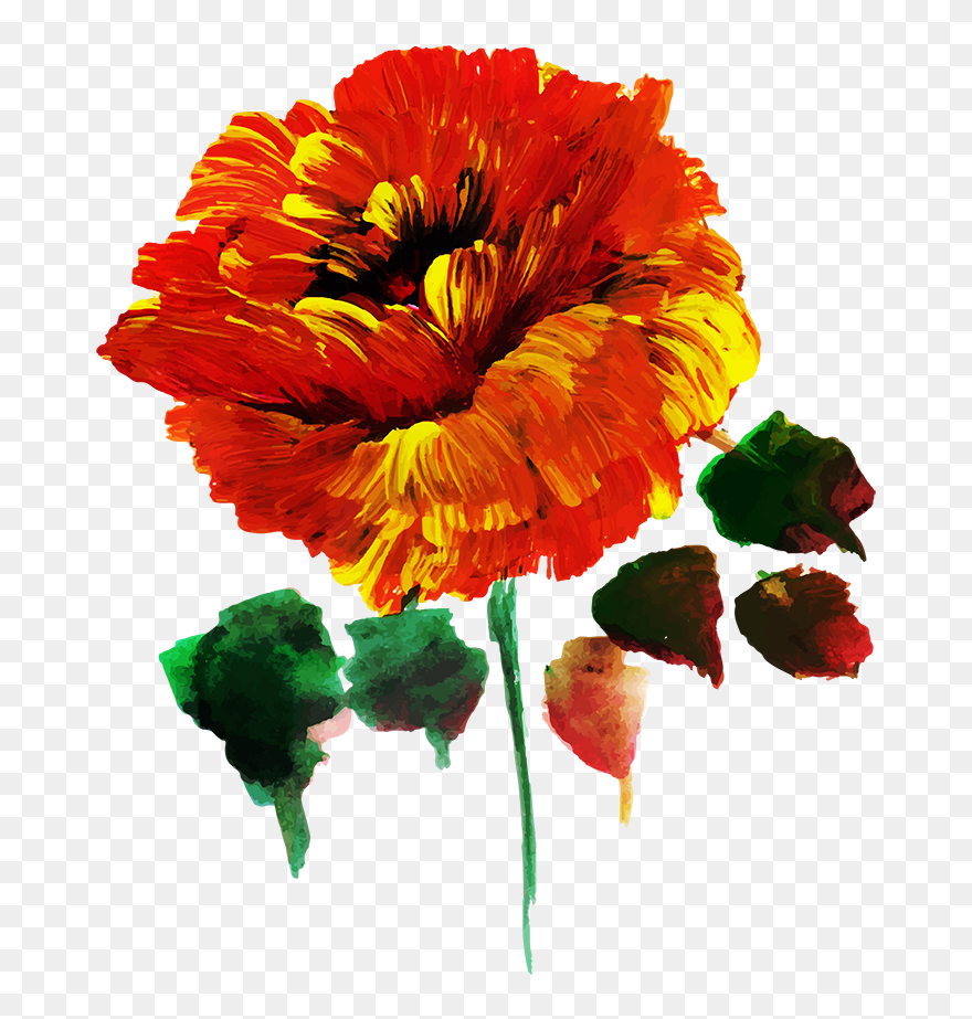 Poppy Clipart
