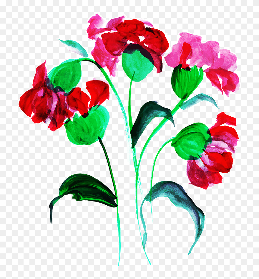 Anthurium Clipart