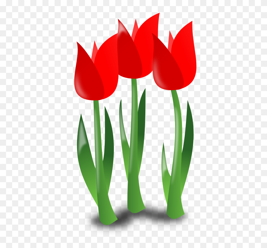 May Clipart Red Tulip - Mother's Day Flowers Clip Art - Png Download