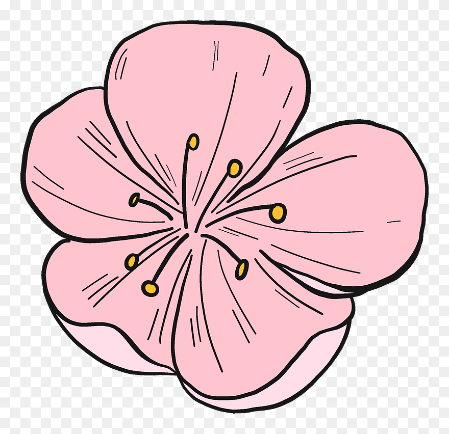 Peach Flower Clipart - Png Download