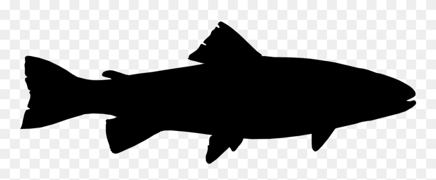 Rainbow Trout Silhouette Clip Art - Trout Fish Silhouette - Png Download