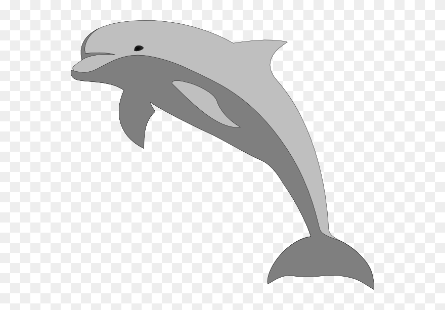 Transparent Flippers Clipart - Jumping Dolphin Clipart - Png Download