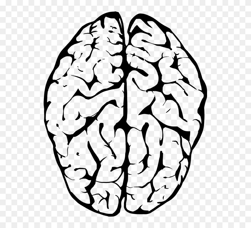 White Brain Cliparts - Brain Black And White Png Transparent Png