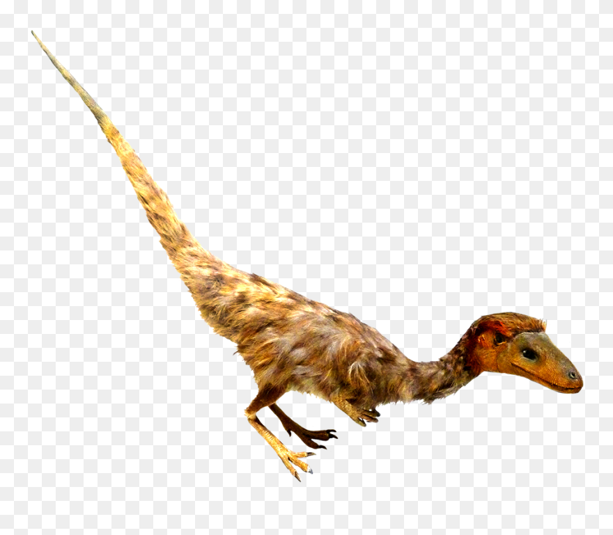 Feathered Dinosaur Clipart - Realistic Transparent Dinosaur Clipart - Png Download