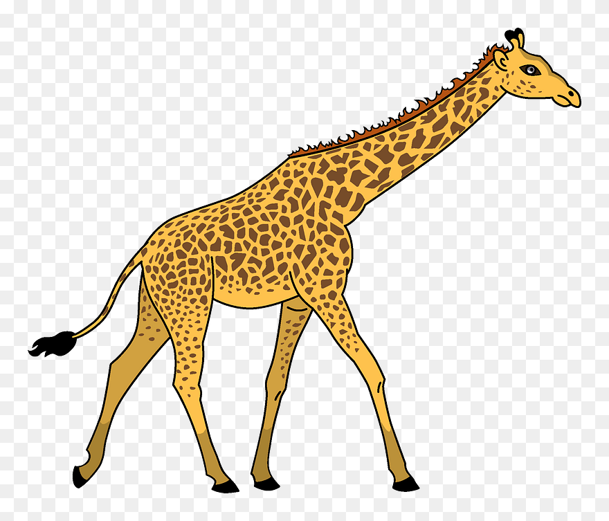 Giraffe Clipart - Giraffe - Png Download