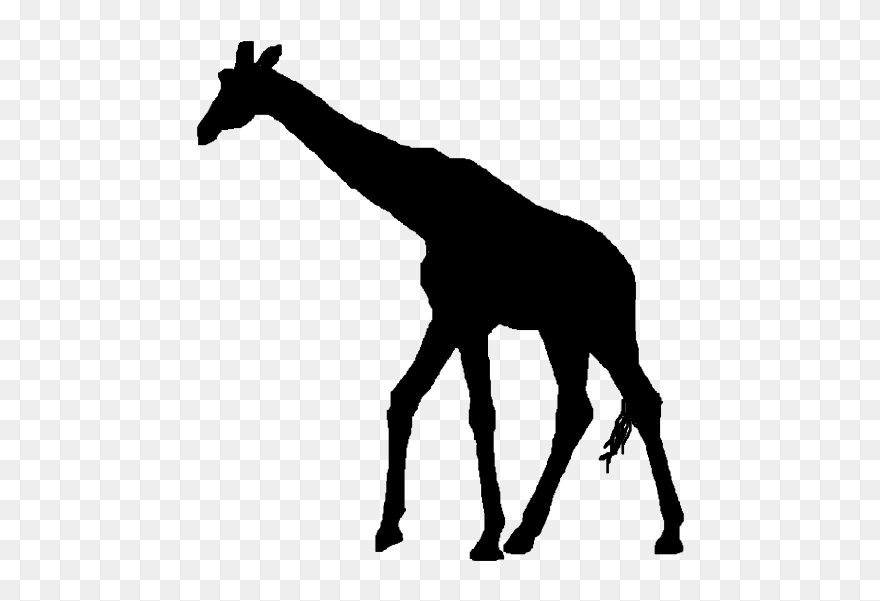 Silhouette Clip Art - Giraffes Silhouette No Background - Png Download