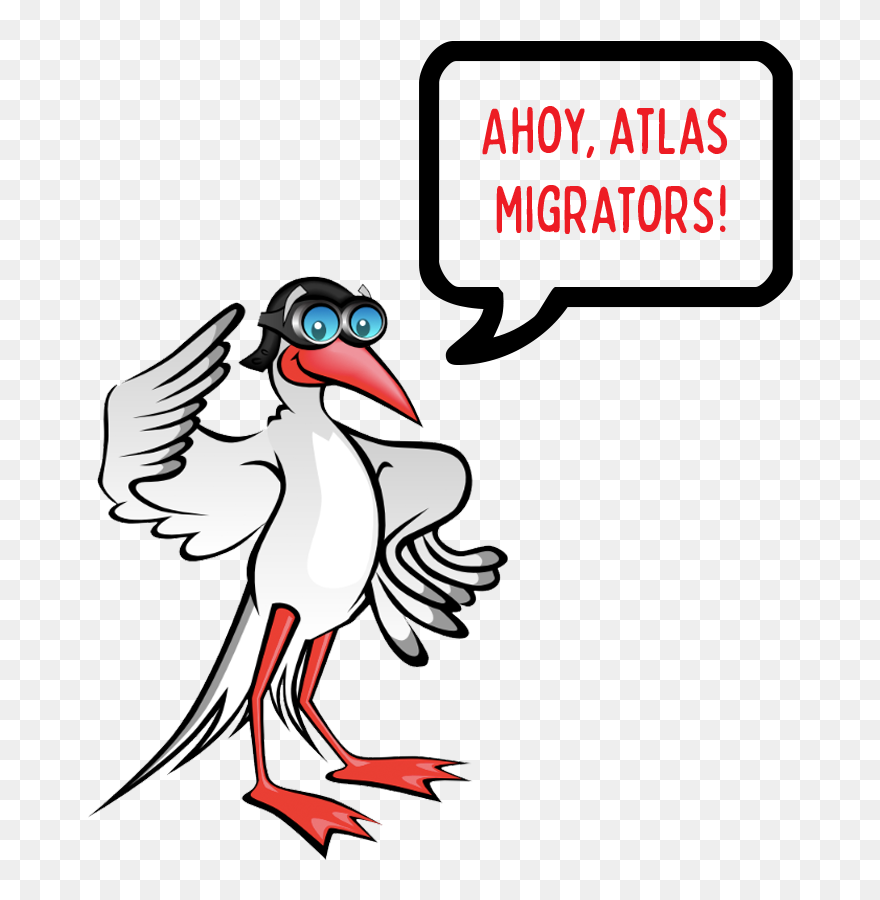 Abc Captain-tern Homepage - Text Clipart