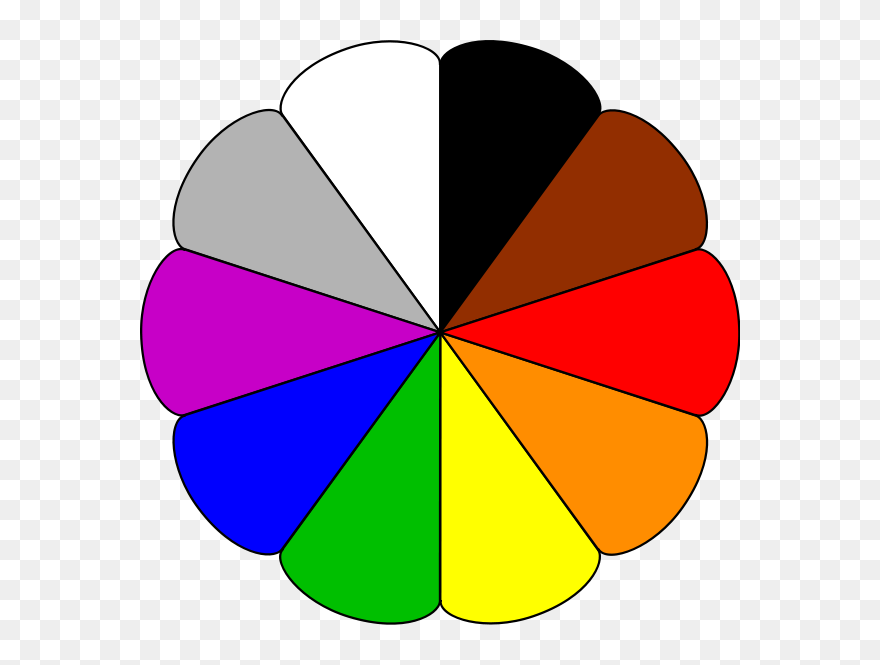 Library Flower Png Images - Color Clipart Transparent Png