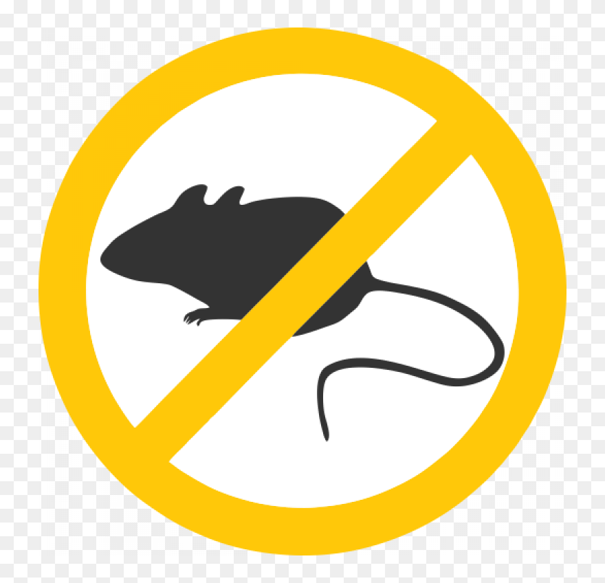 Clipart Rat Trap - Png Download
