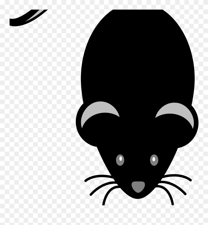 Mouse Black Animal Png Clipart