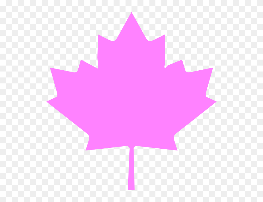 Transparent Ivy Leaf Clip Art - Maple Leaf Clipart - Png Download