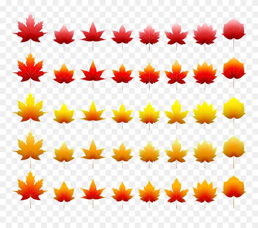 Clip Art - Png Download