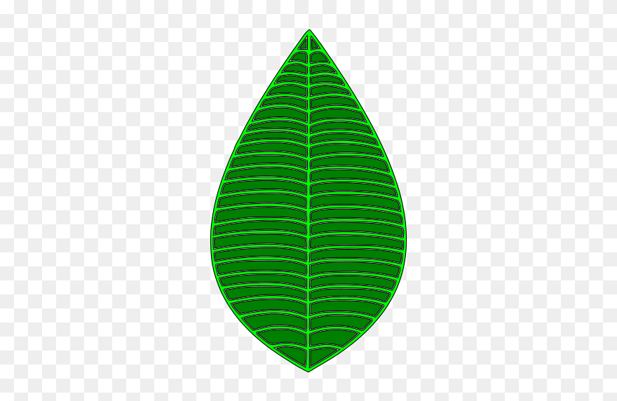 Green Leaf - Illustration Clipart