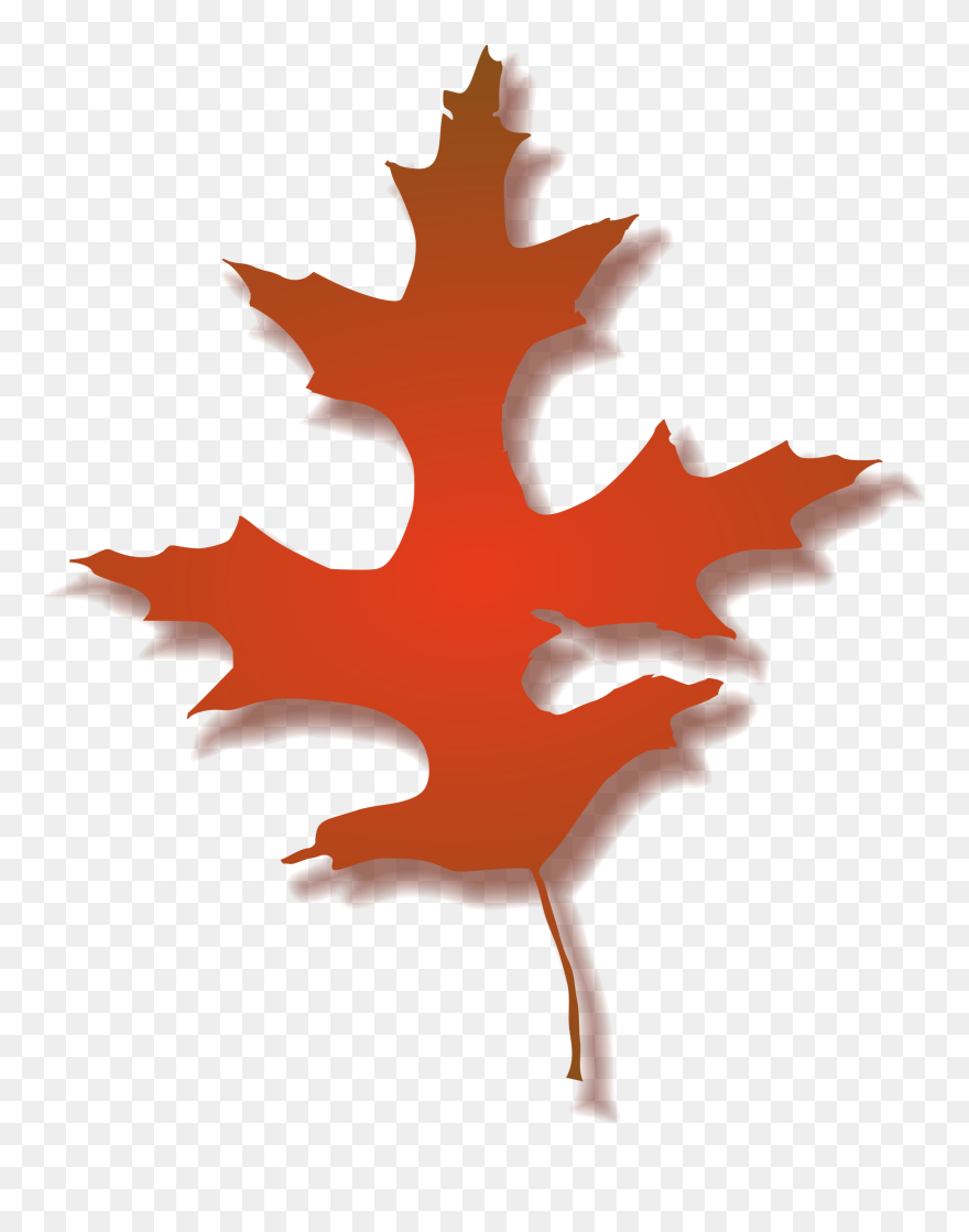 Leaf Autumn Big Image Png - Meşe Yapragı Vektör Clipart