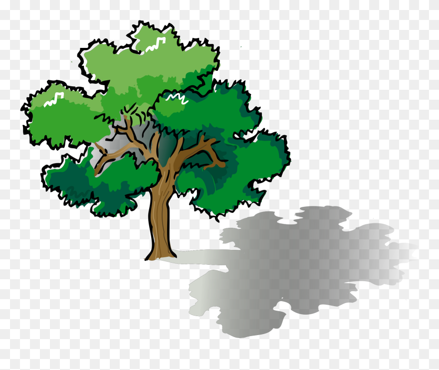 Tree Drawing With Color Clipart