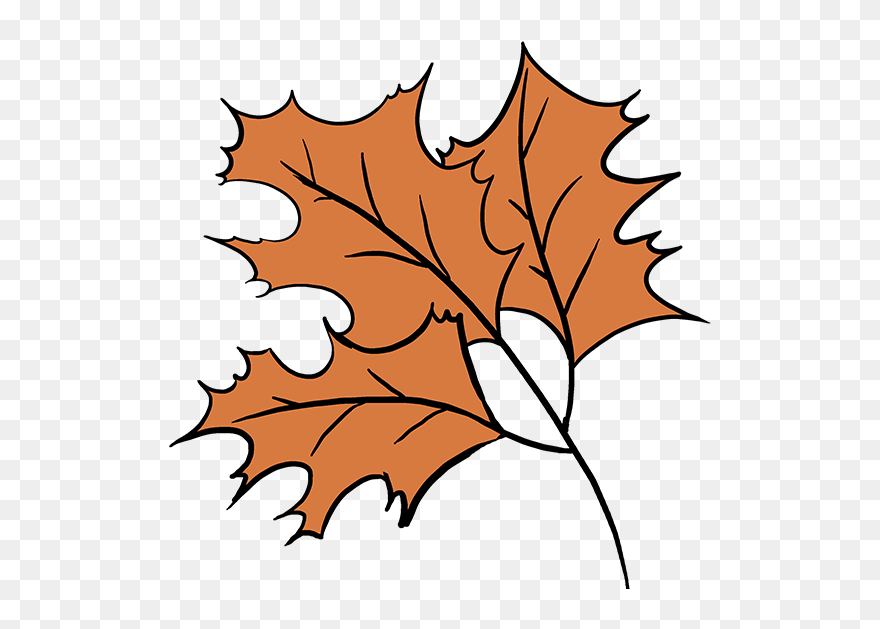 How To Draw Fall Oak - Easy To Draw Fall Clipart