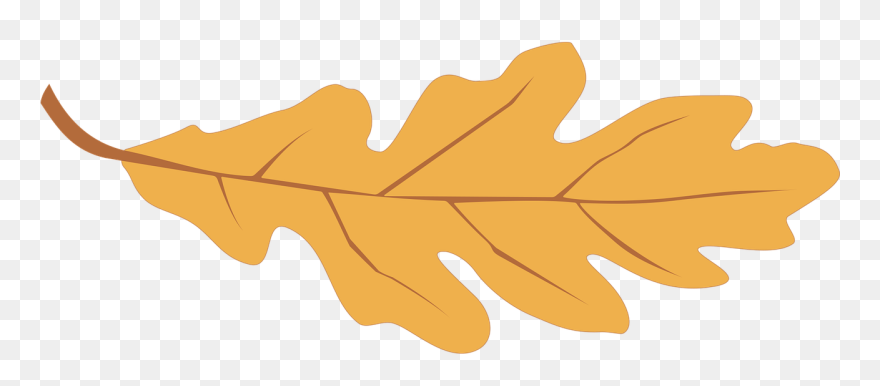 Fall Leaf Graphic Clipart