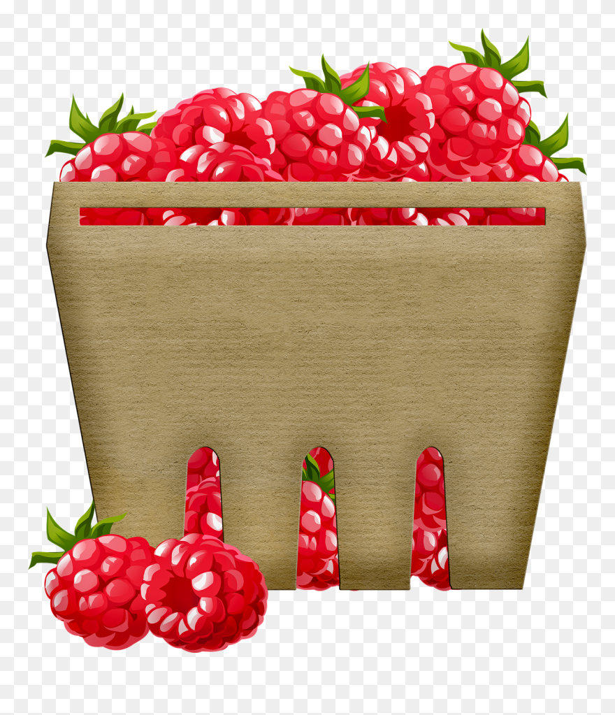 Clip Art - Png Download
