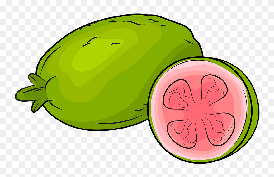 Fresh Guavas Clipart - Guavas Clipart - Png Download