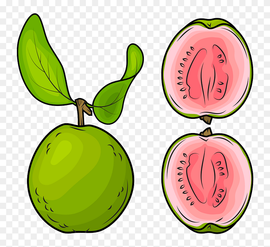 Whole Guava And A Half Clipart - Png Download